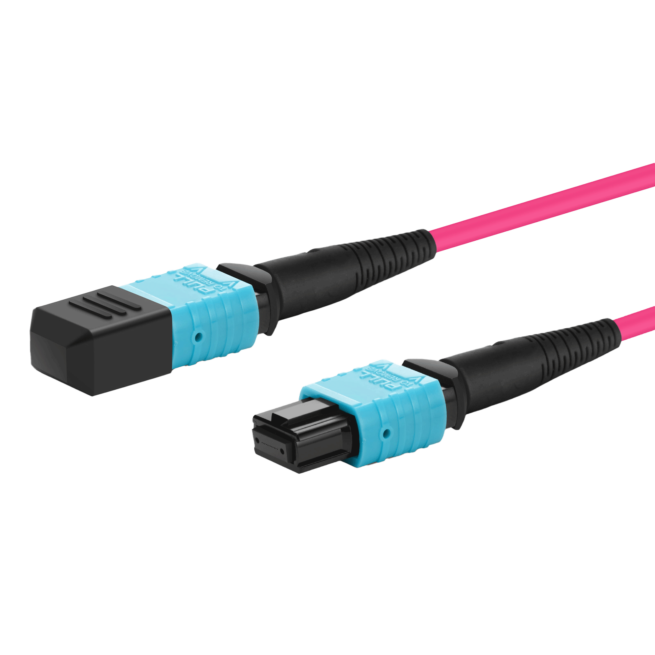 MPO to MPO multimode OM1 - OM5 cable - Image 2